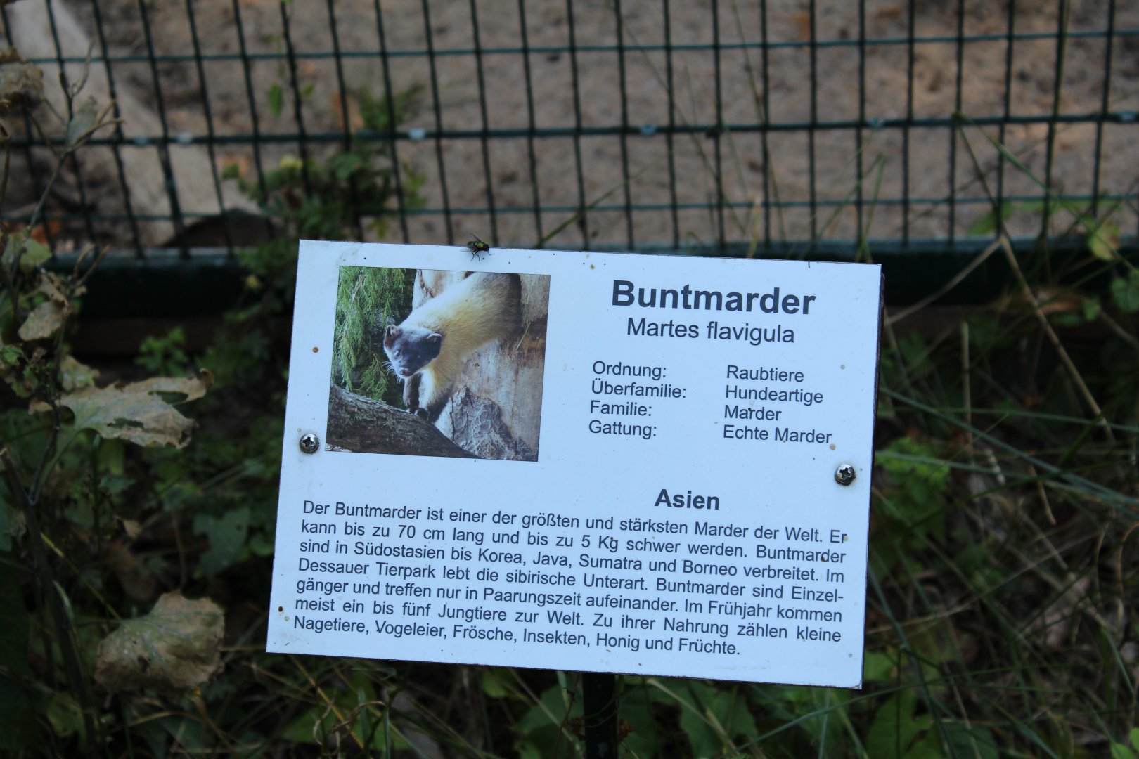 Signage Example - July 2019