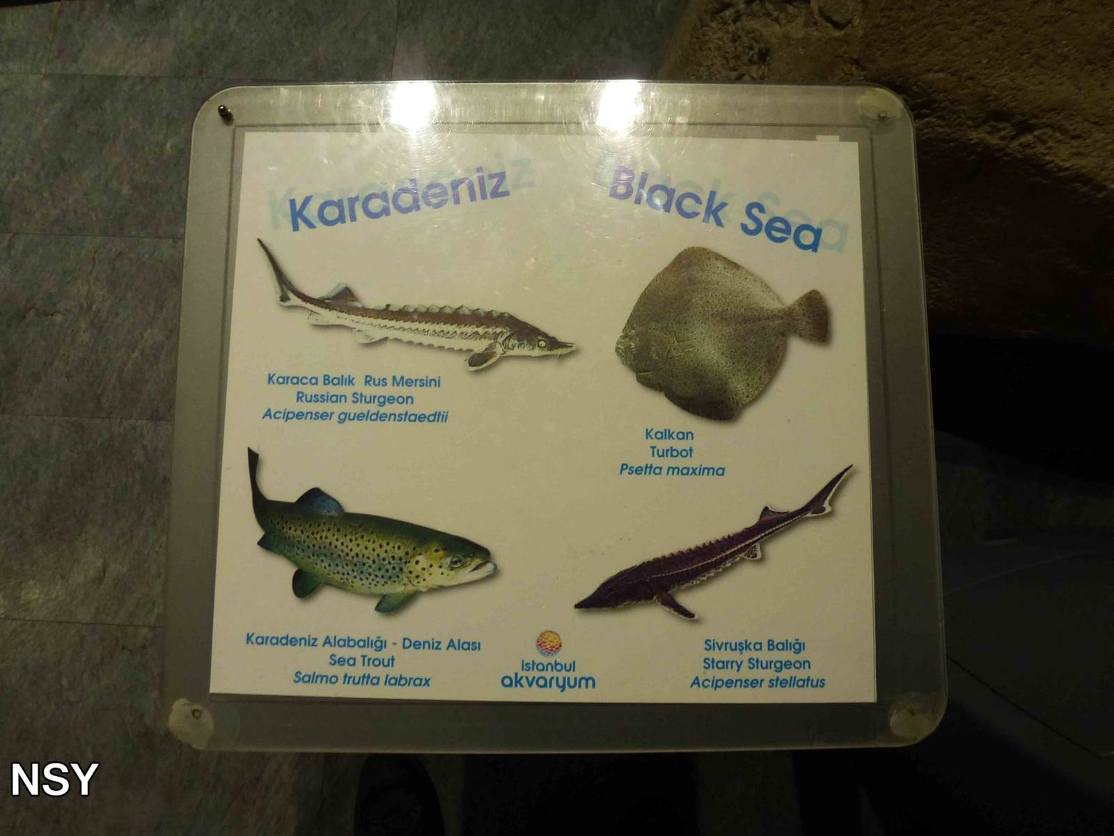 Signage example, June 2013.