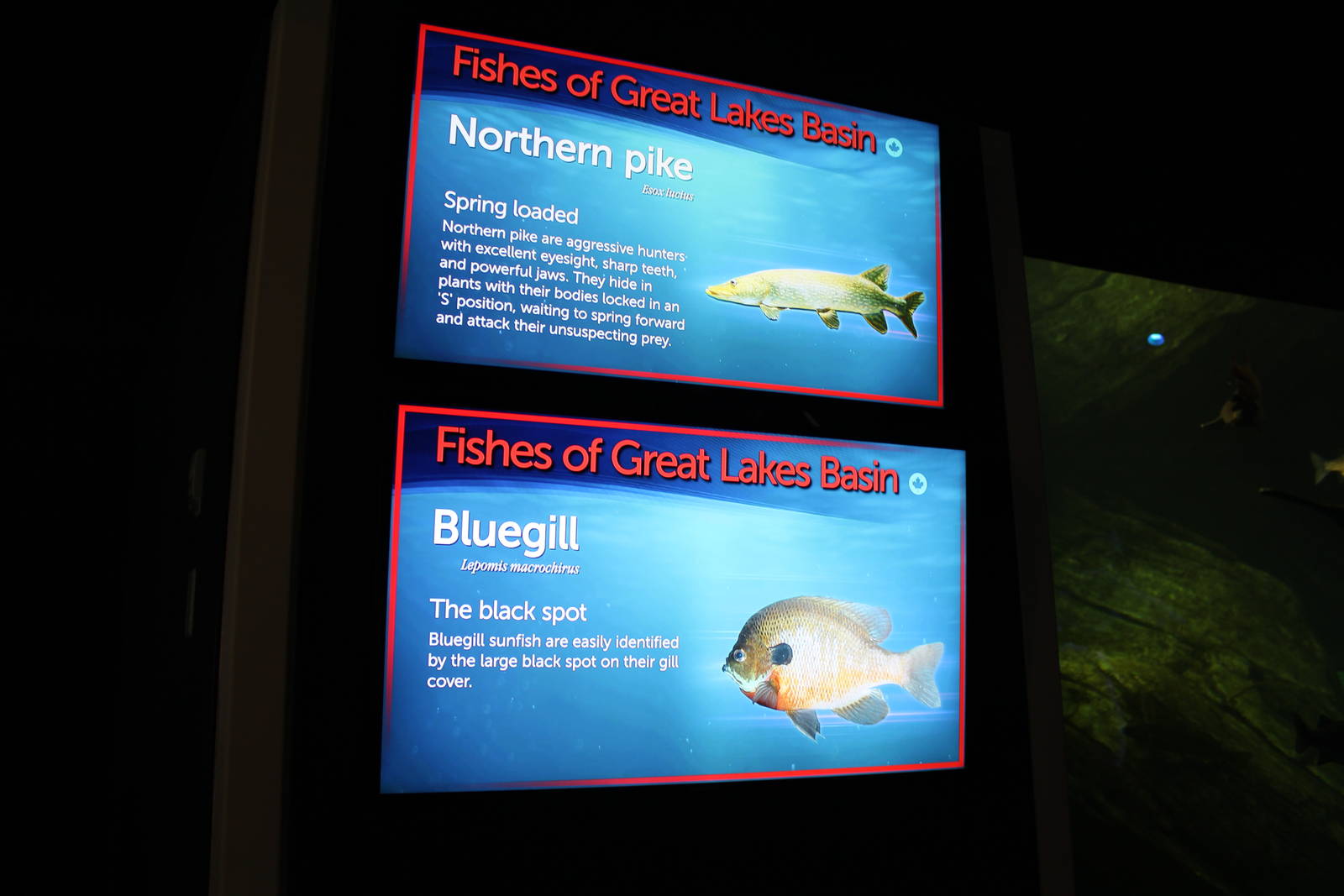 Signage Example - June 2016