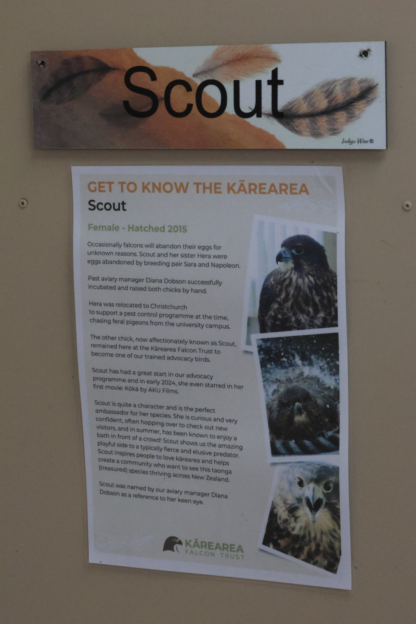 Signage example, Kārearea Falcon Trust (Blenheim)