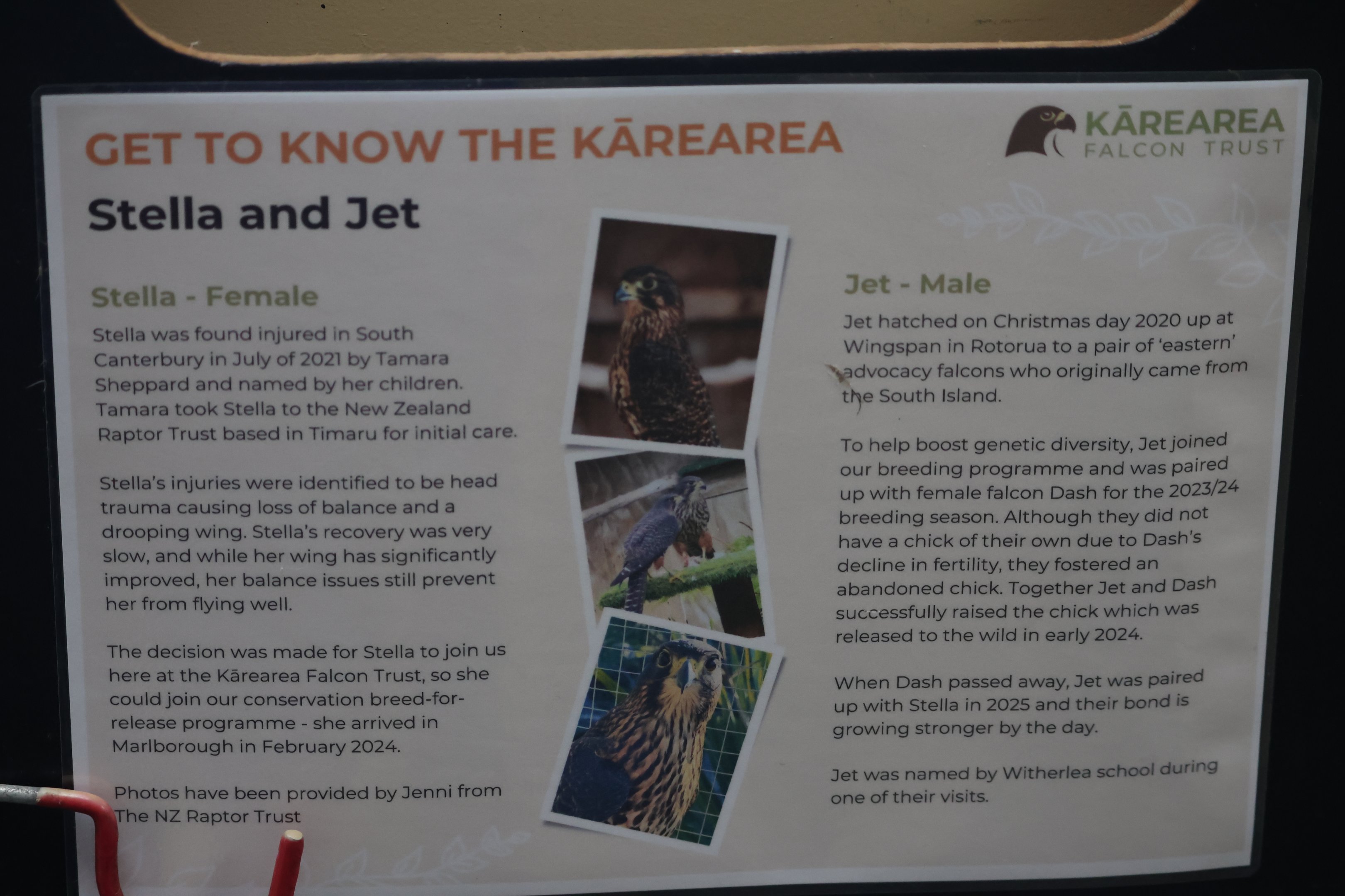 Signage example, Kārearea Falcon Trust (Blenheim)