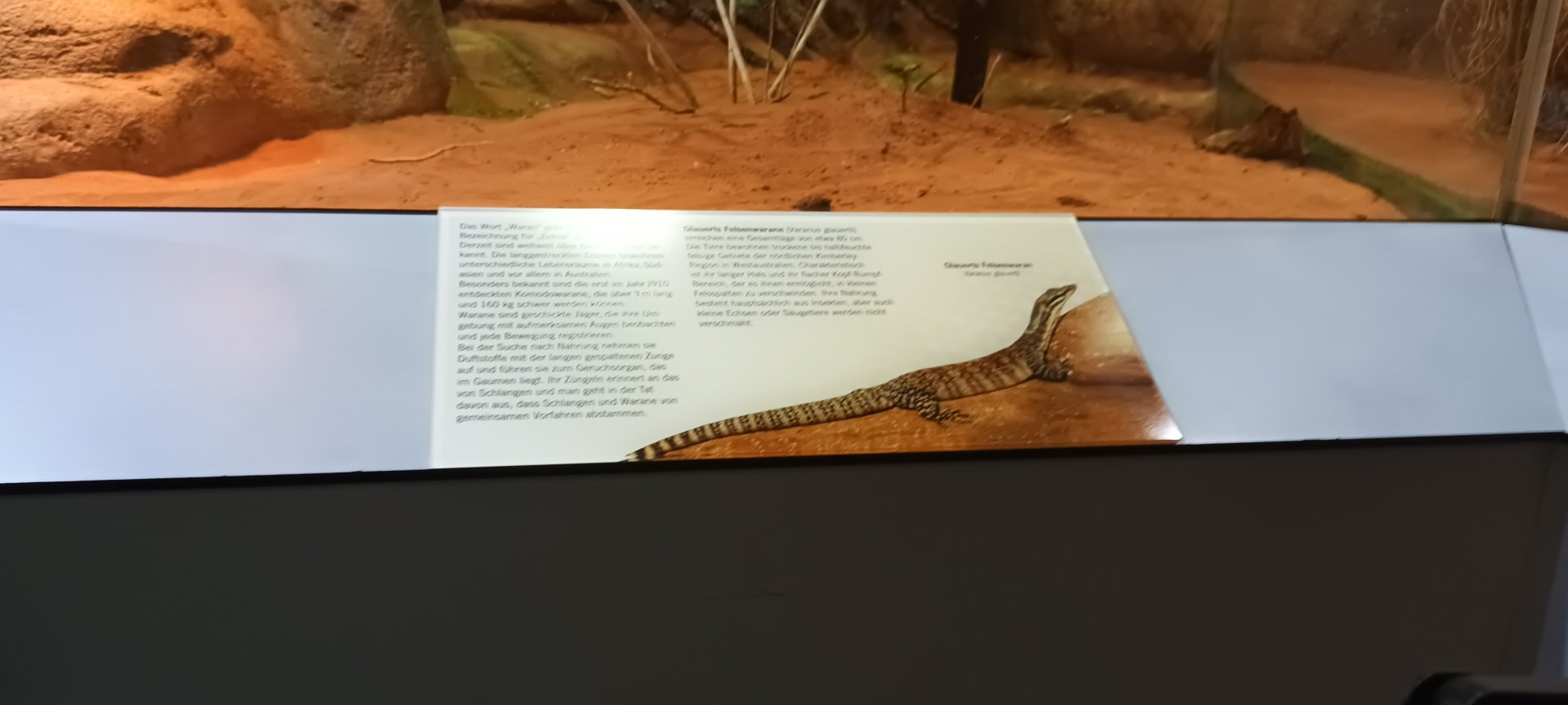Signage Example: Kimberley rock Monitor