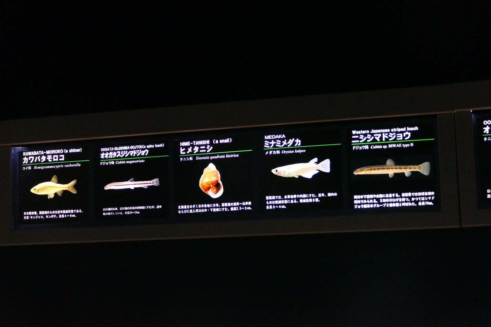 Signage example - Lake Biwa Museum