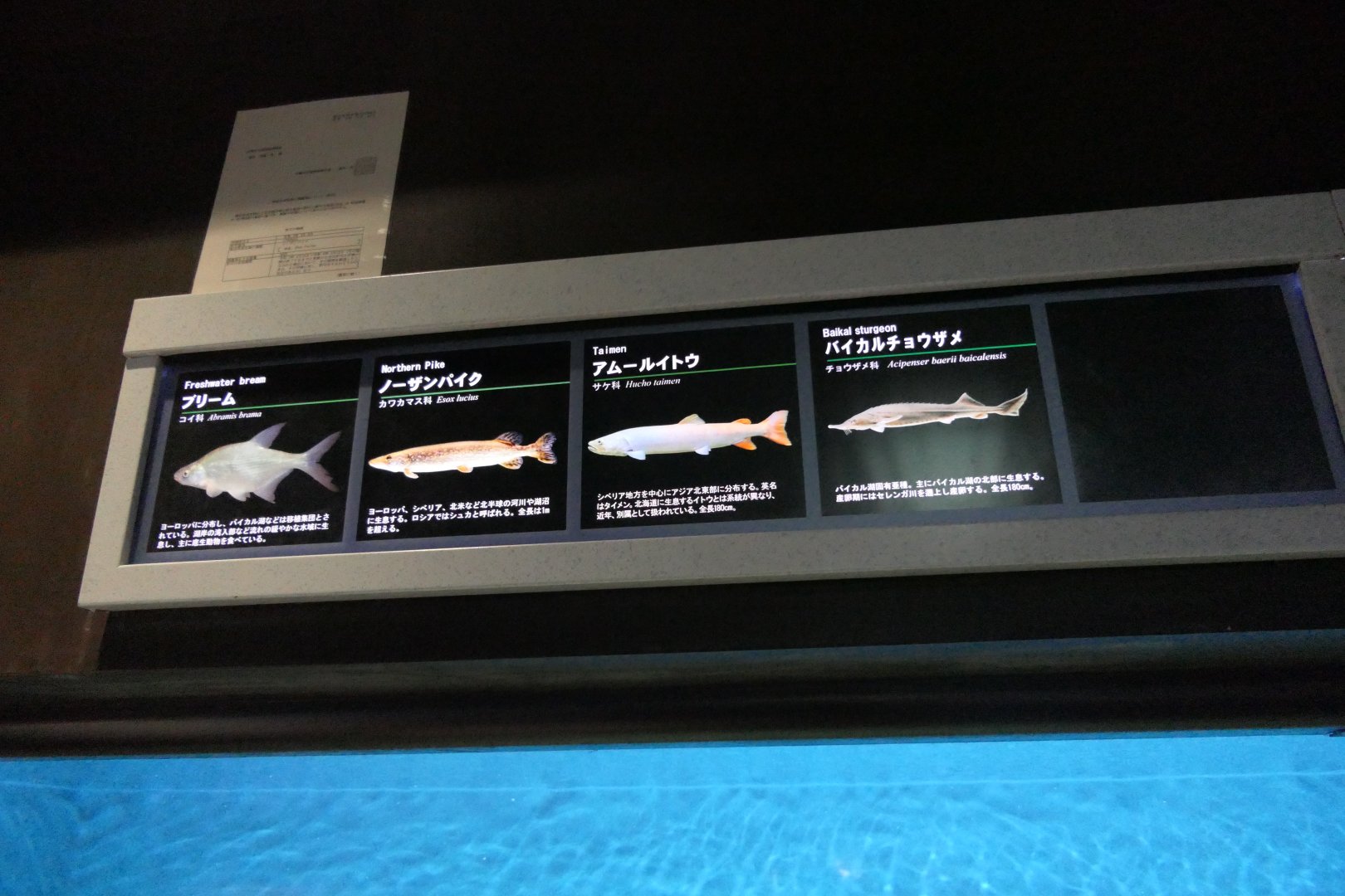 Signage example - Lake Biwa Museum