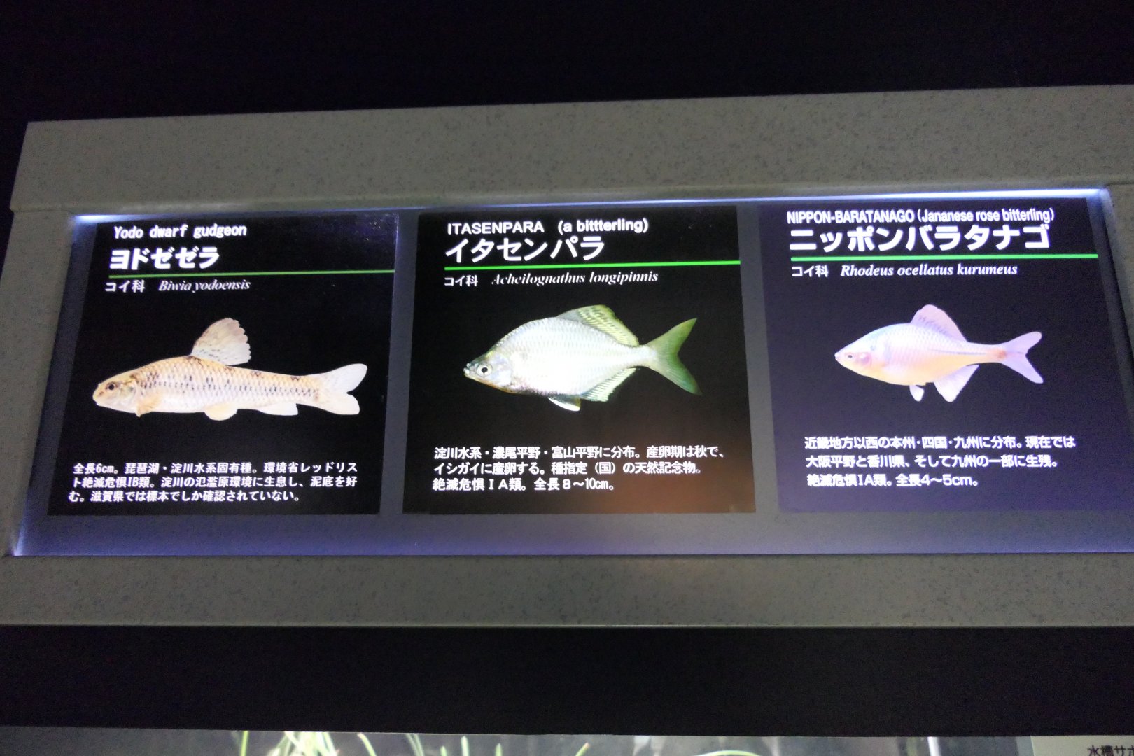 Signage example - Lake Biwa Museum