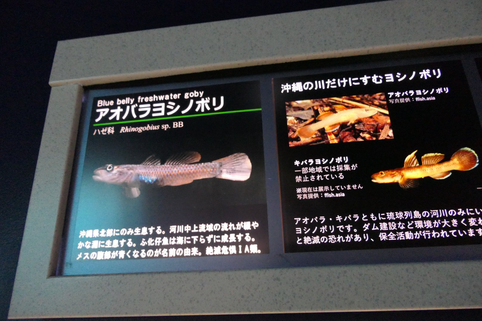 Signage example - Lake Biwa Museum