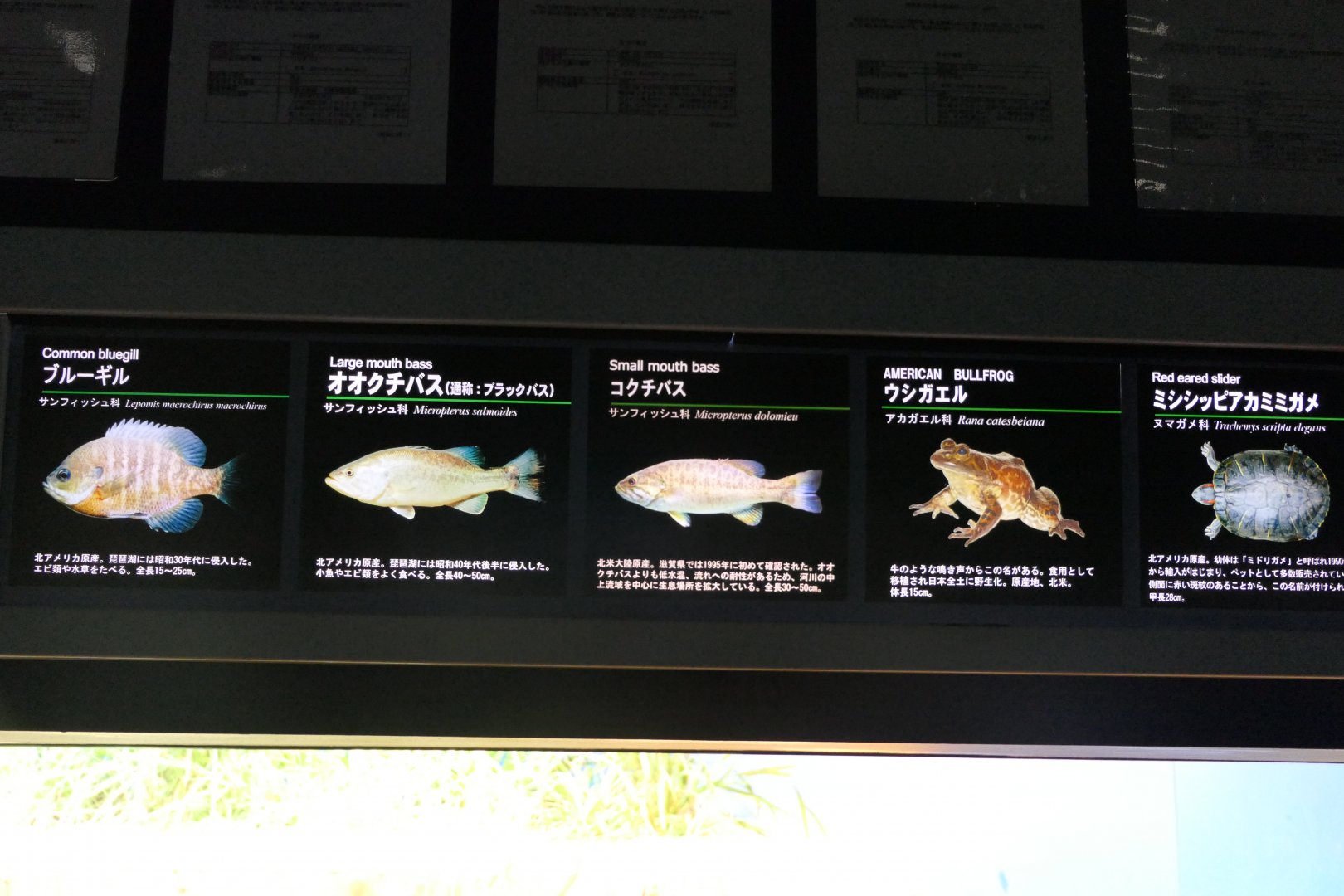 Signage example - Lake Biwa Museum