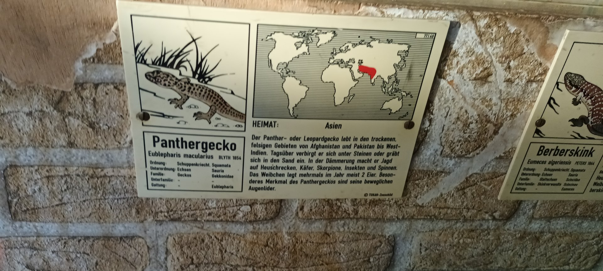 Signage Example Leopard Gecko