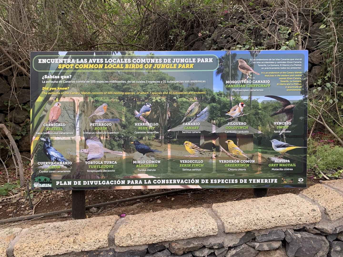 signage example - local bird information