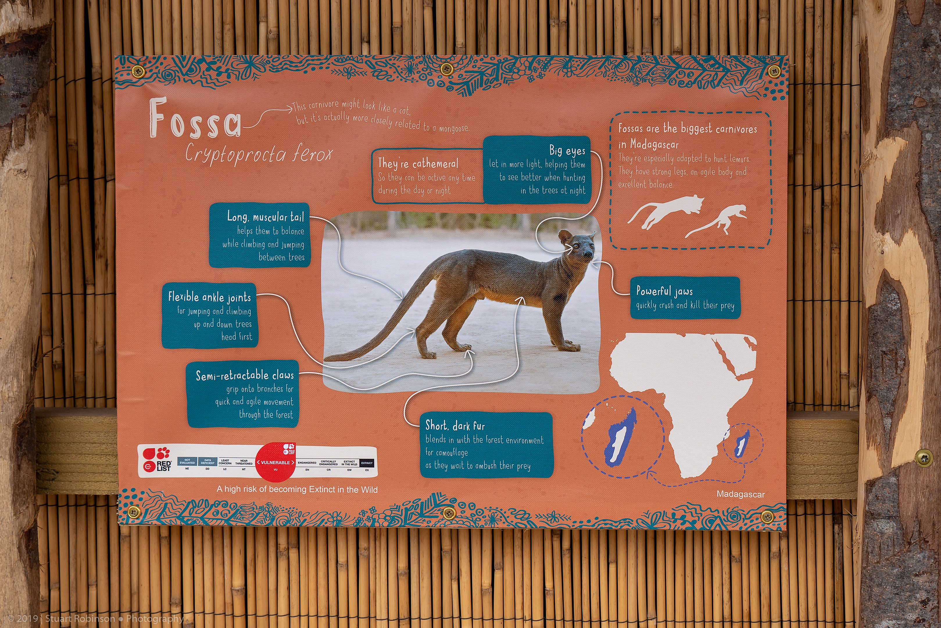 Signage Example - Madagascar Exhibit - 26/03/2019