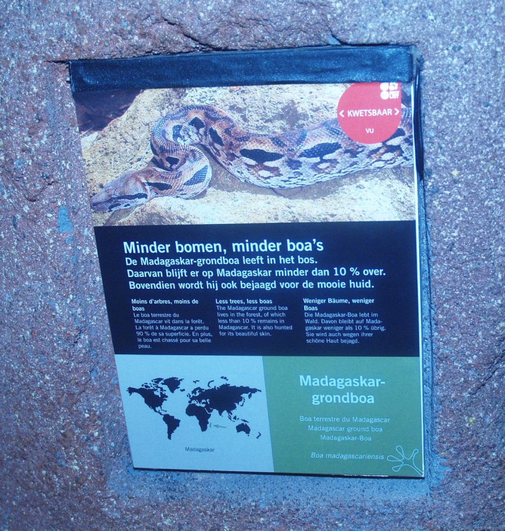 Signage example Malagasy ground boa, 2014-02-16