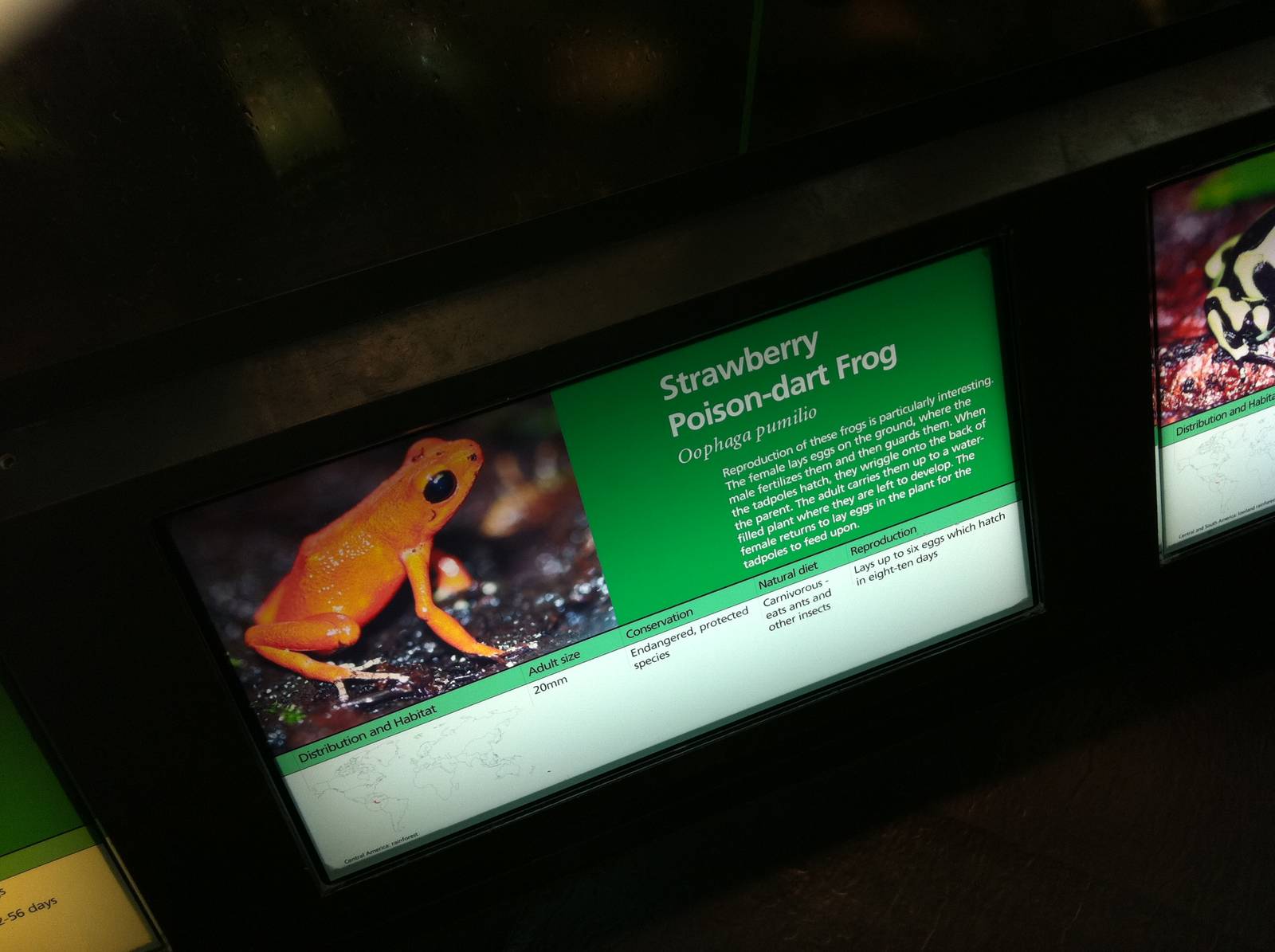 Signage Example - Manchester Museum 29.12.10