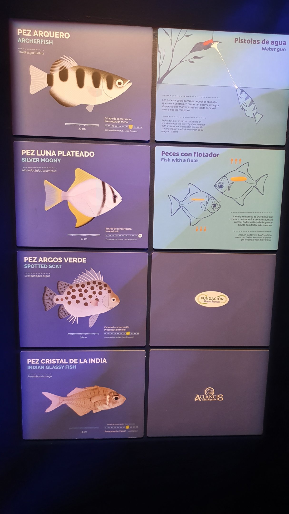 Signage Example (Mangrove Tank) at Atlantis Aquarium Madrid, 20th May 2022