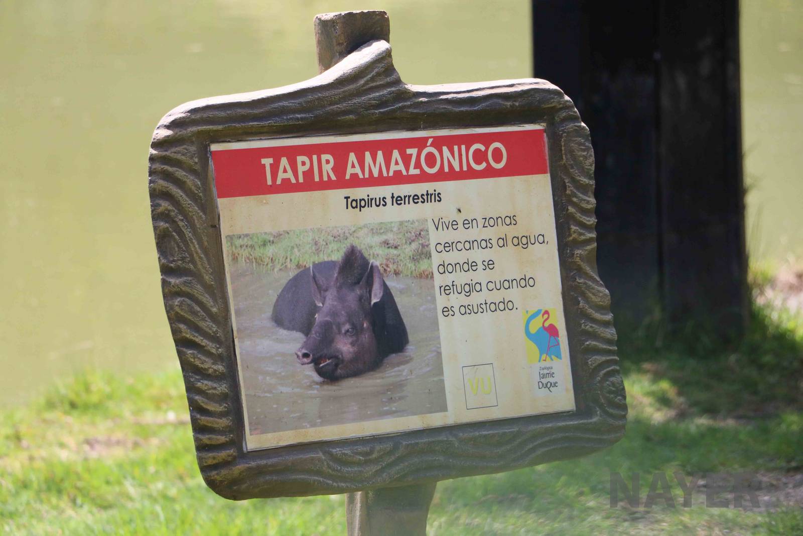 Signage example, March 2016