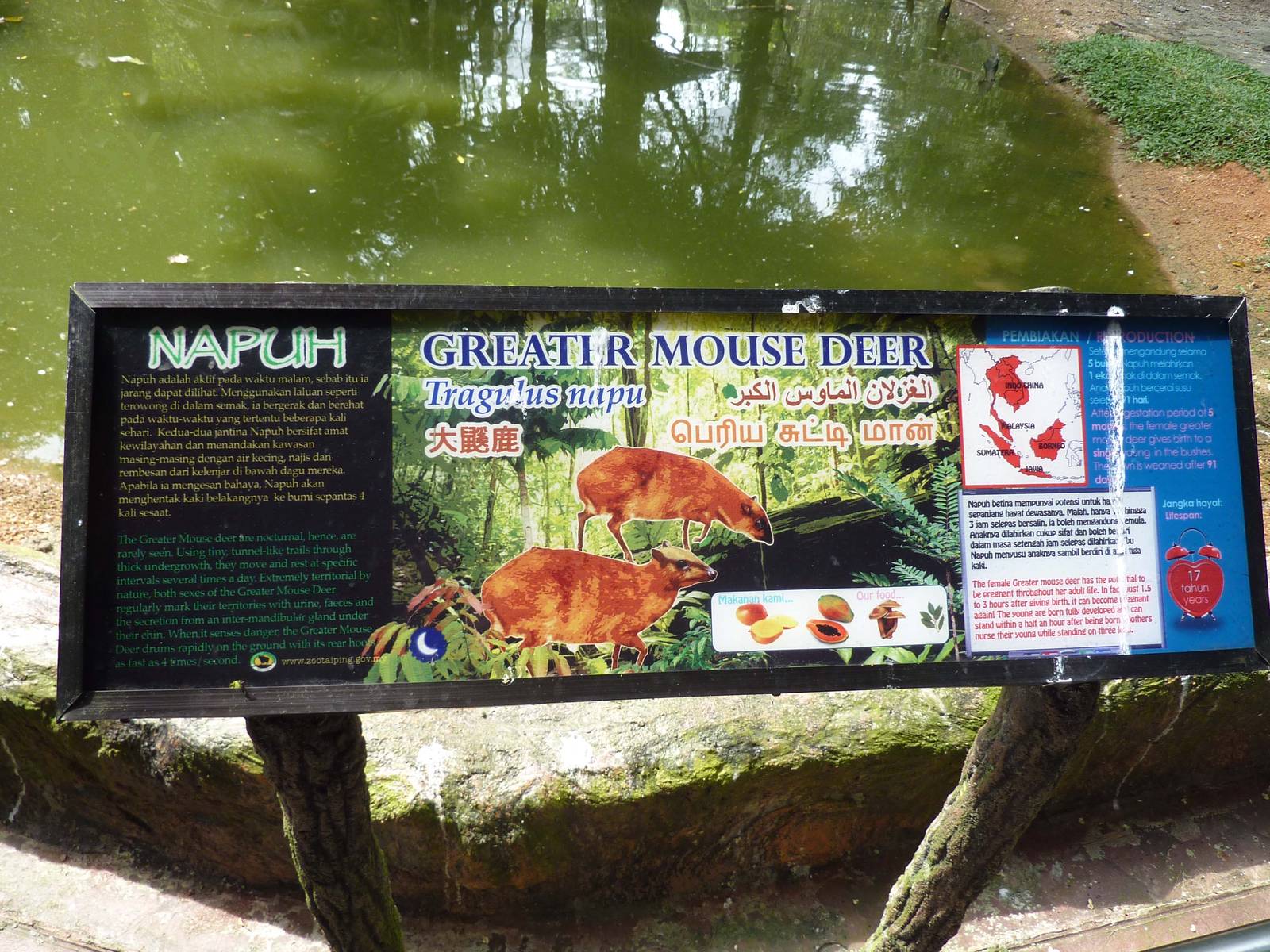 Signage example, May 2013