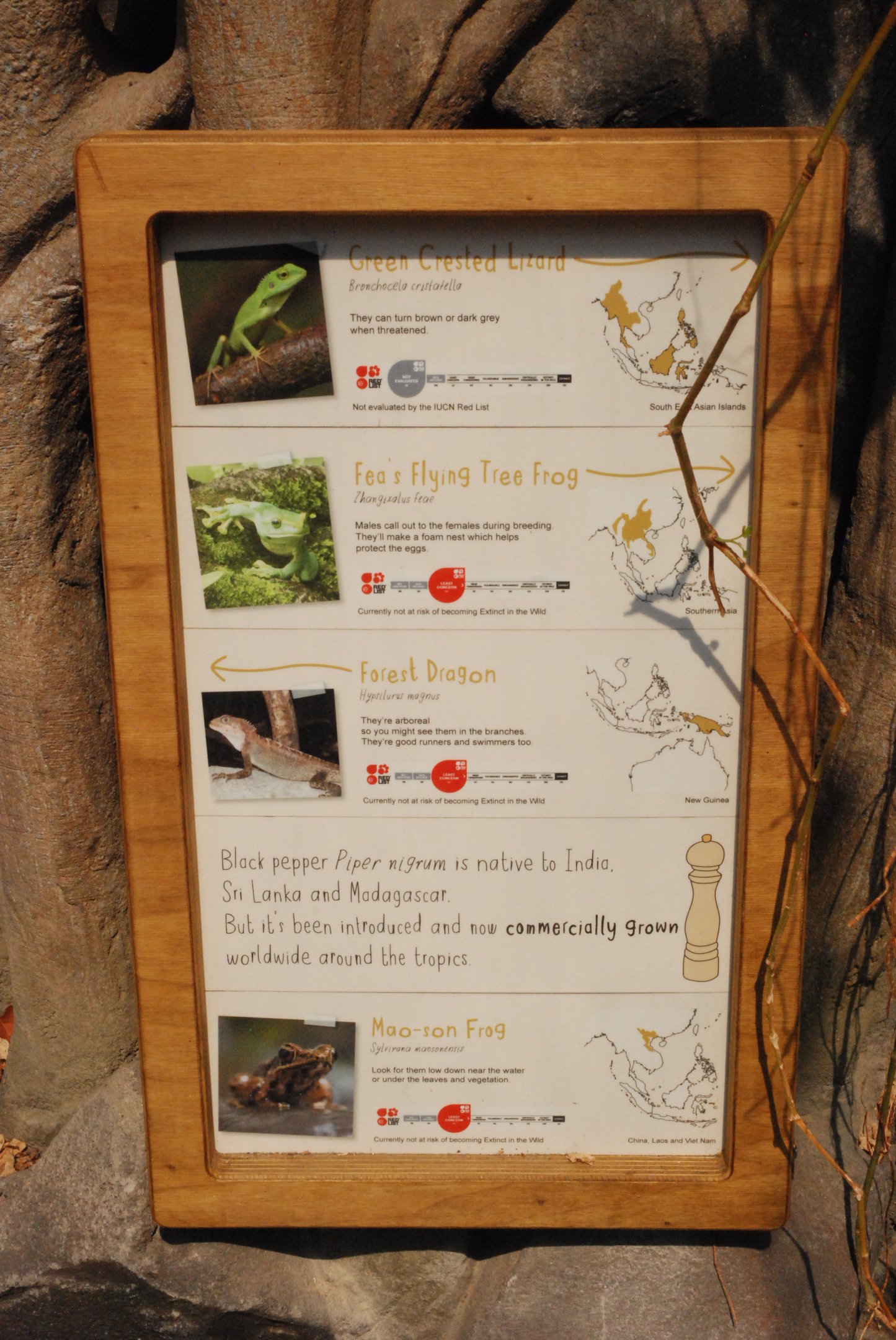 Signage Example (Monsoon Forest Vivaria) at Chester, 20th July 2021