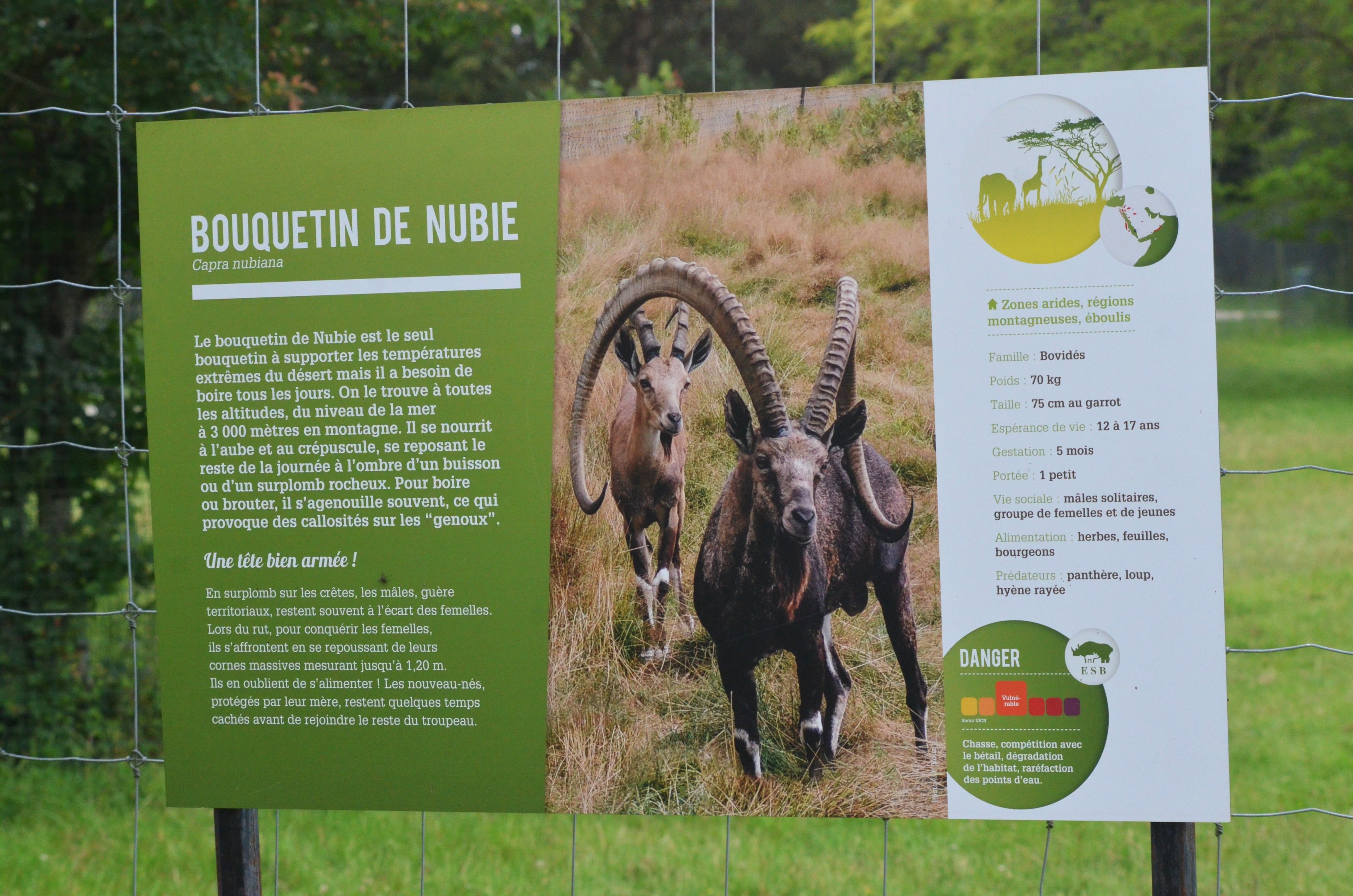 Signage Example (Nubian Ibex) at Haute-Touche, 14/06/18