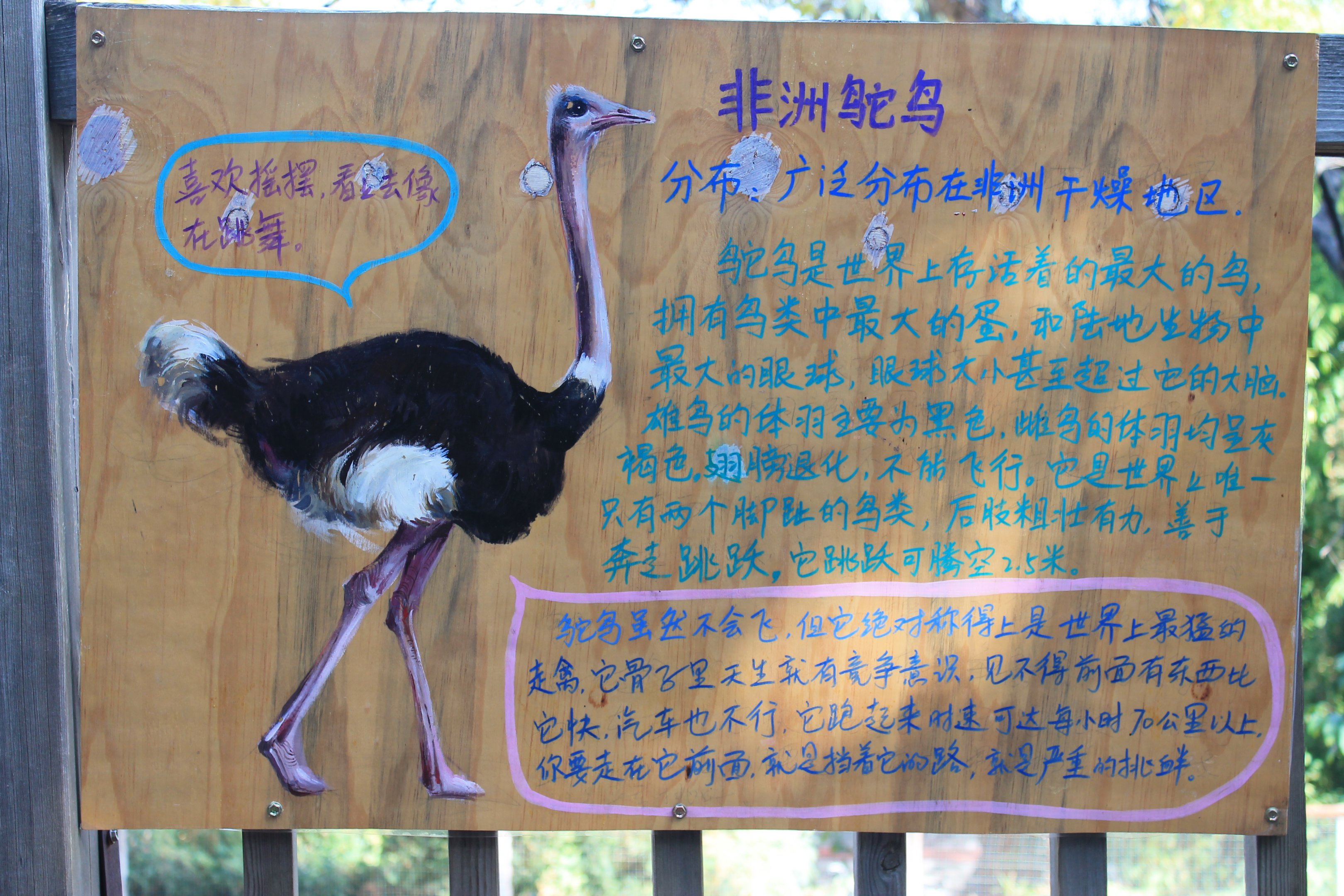 Signage example (Ostrich)