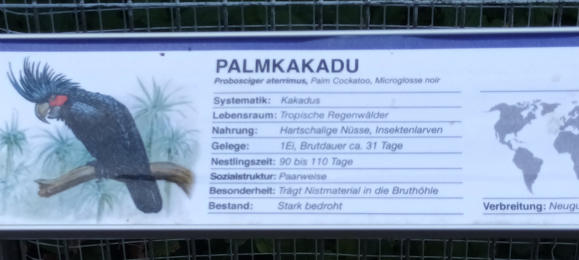 Signage Example Palm Cockatoo