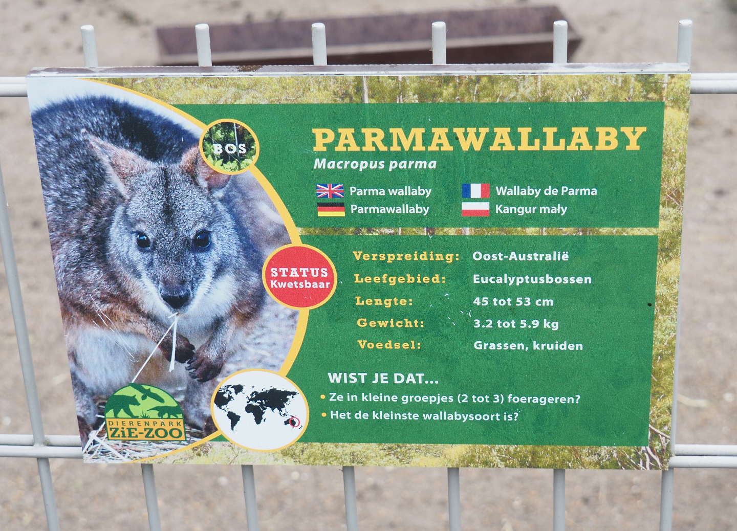 Signage example - Parma wallaby, 2022-05-17
