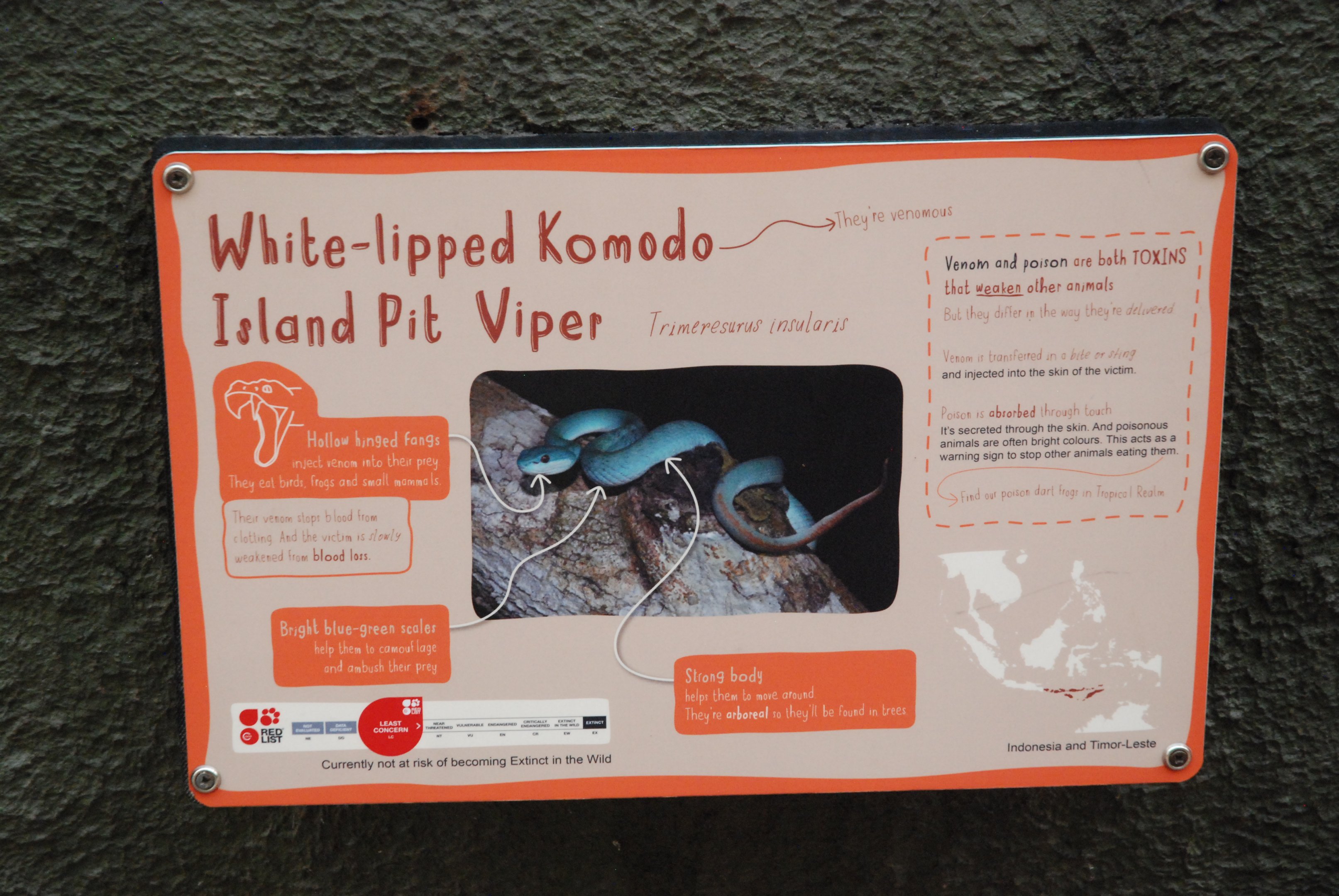 Signage Example (Pit Viper) at Chester, 20th July 2021