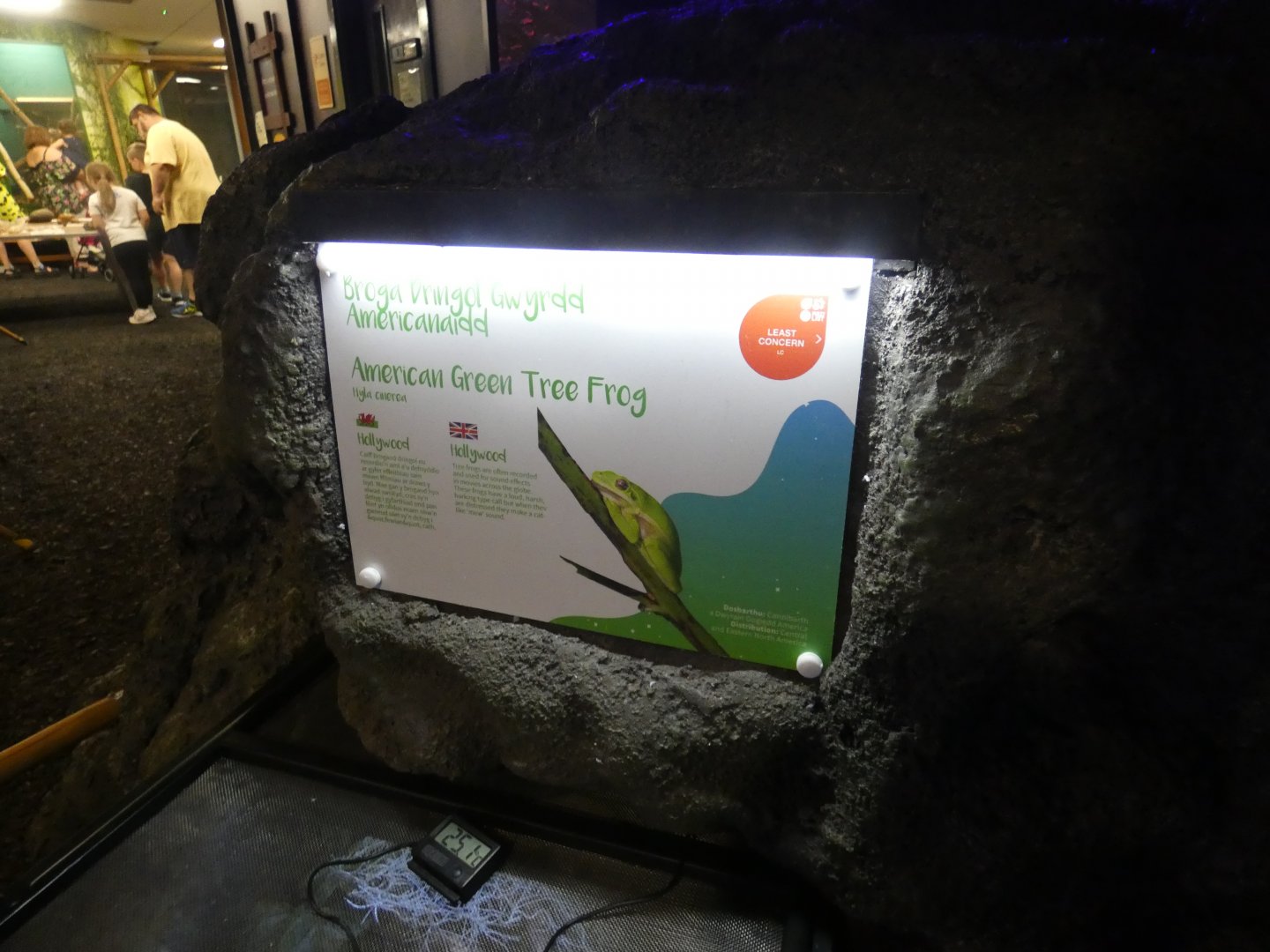Signage example (Plantasia Swansea)