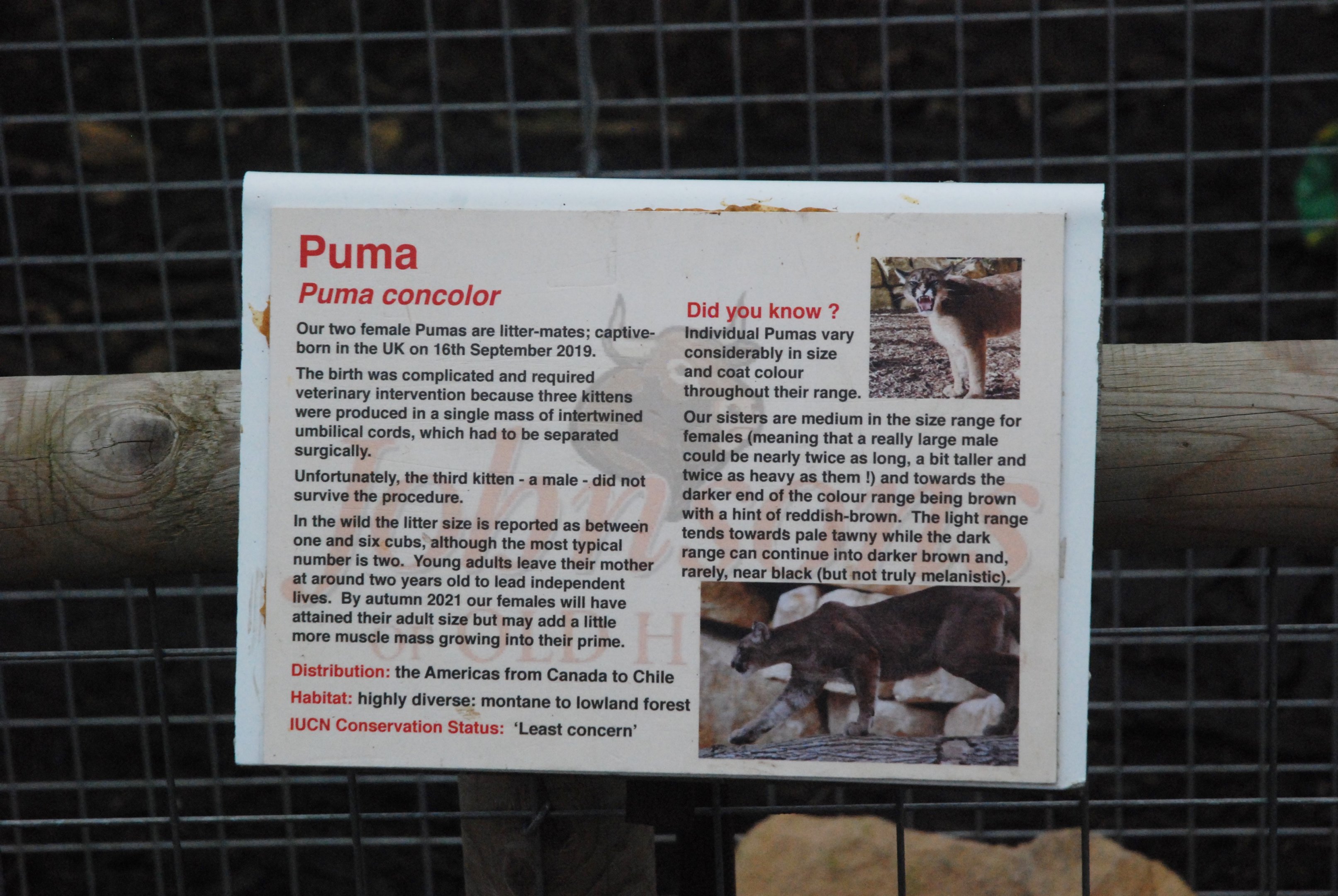 Signage Example (Puma) at Johnson's of Old Hurst, 19th February 2022