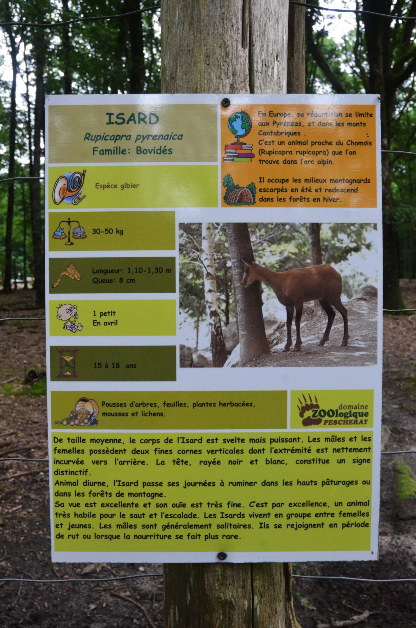Signage Example (Pyrenean Chamois) at Pescheray, 13/06/18
