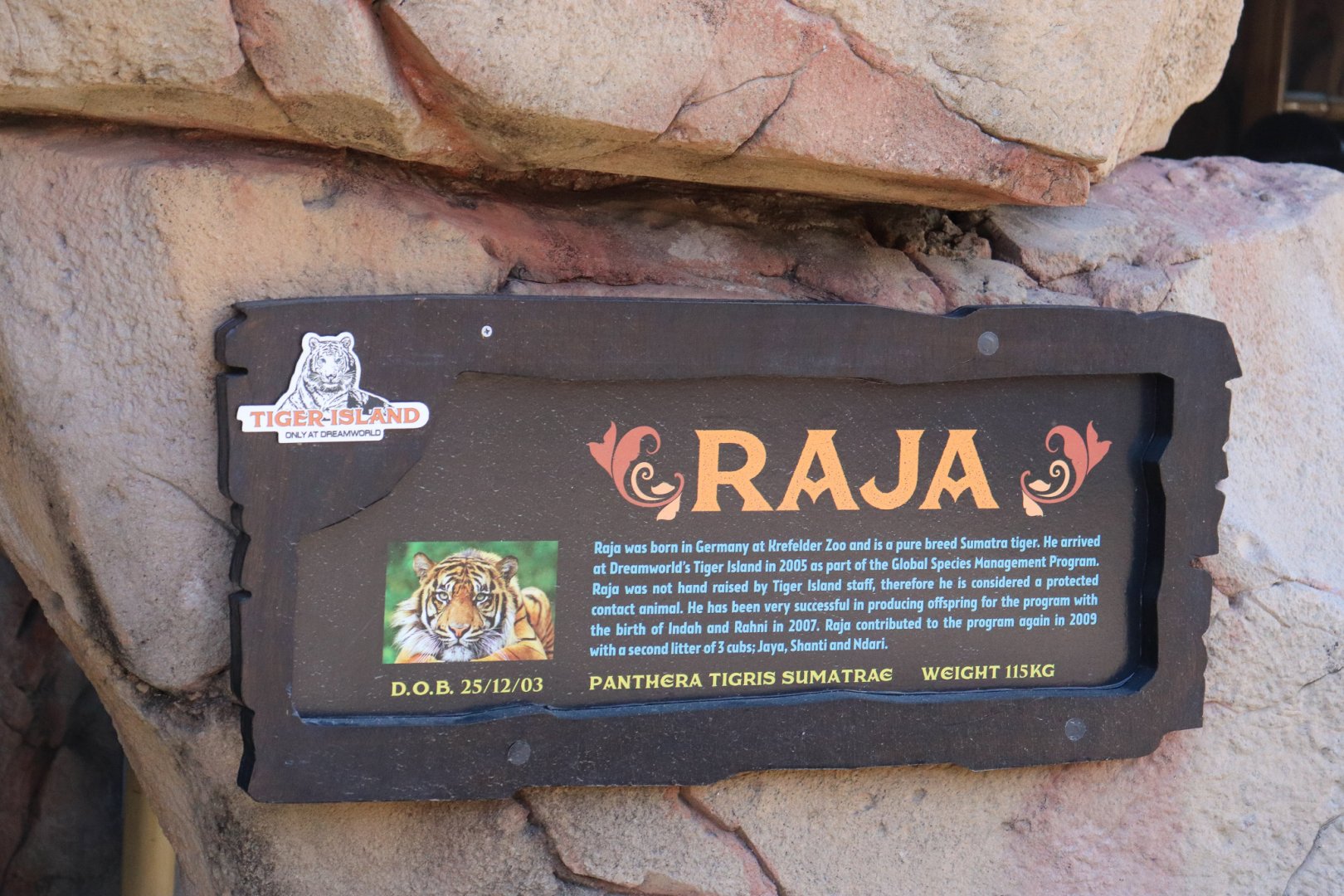 Signage Example - Raja the Sumatran Tiger