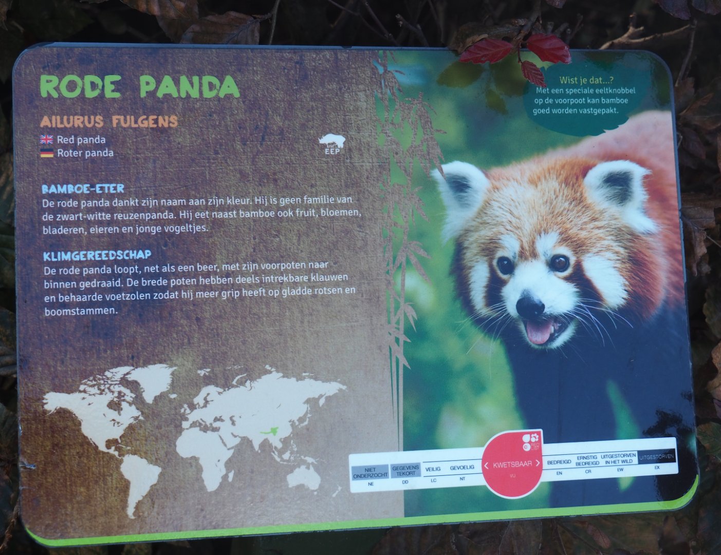 Signage example - Red panda sign, 2019-06-01