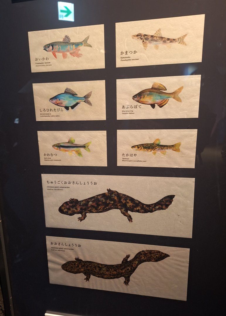 Signage example - River of Kyoto