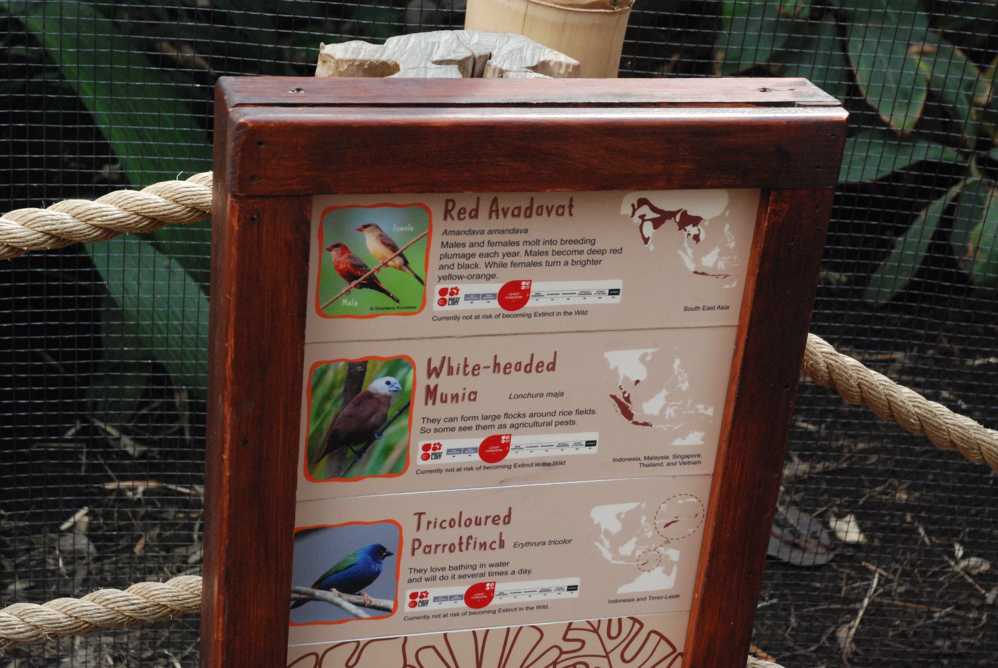 Signage Example (RotRA Aviary) at Chester, 20th July 2021
