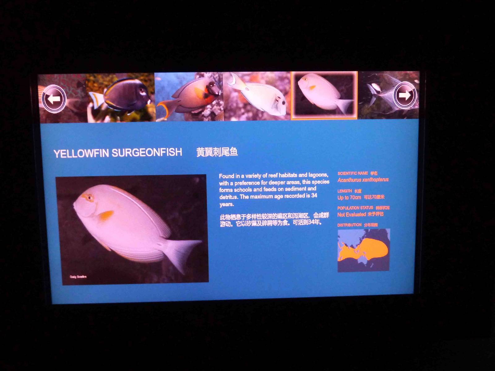 Signage example, S.E.A. Aquarium, May 2013.