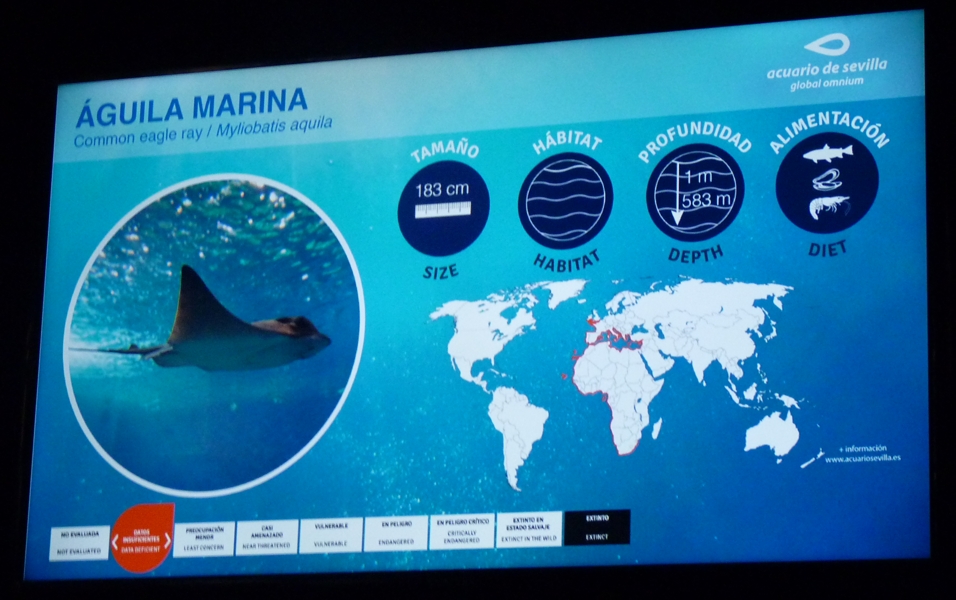 Signage example (Sevilla aquarium)