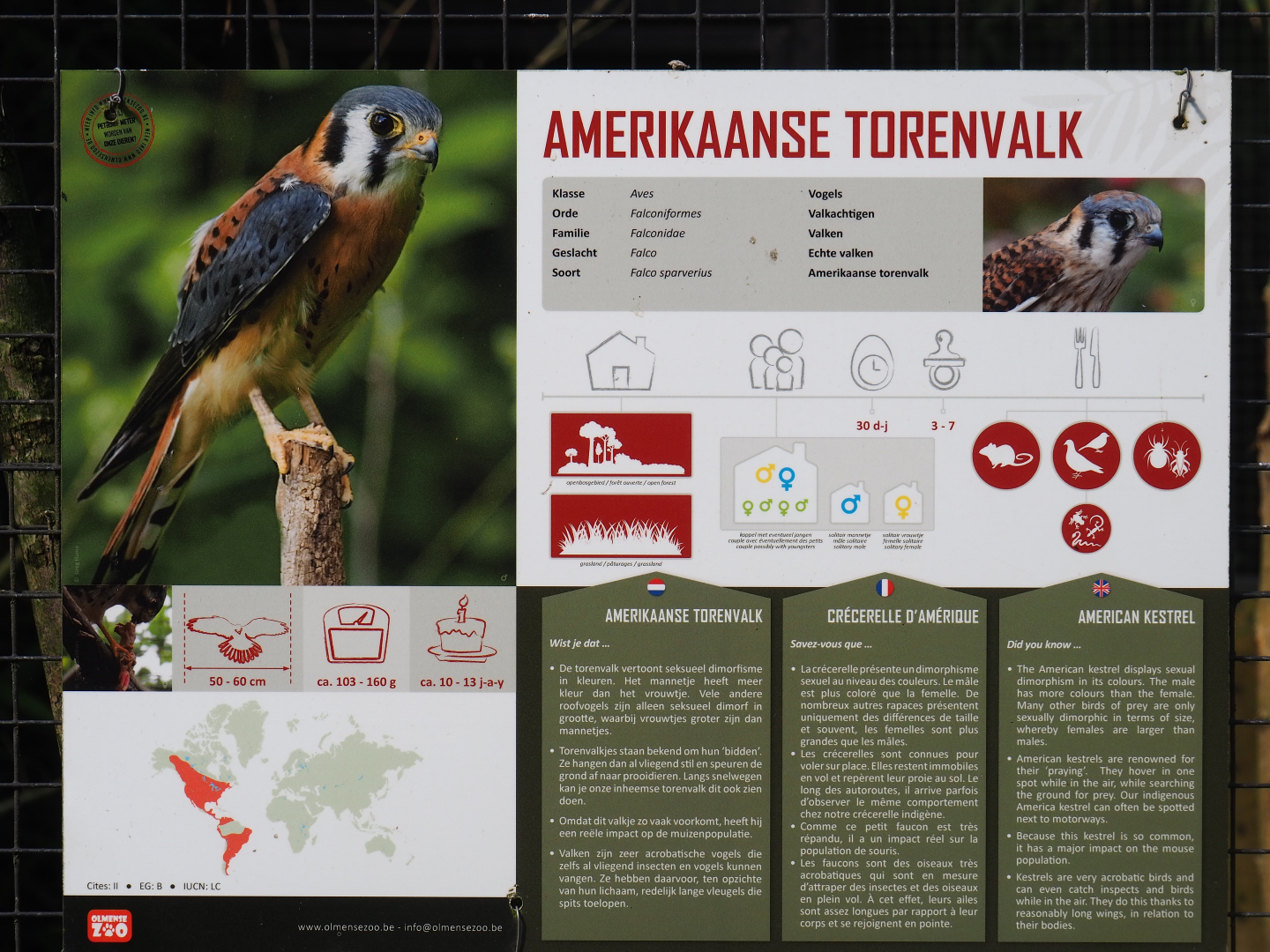 Signage example - Sign American kestrel, 2019-08-11