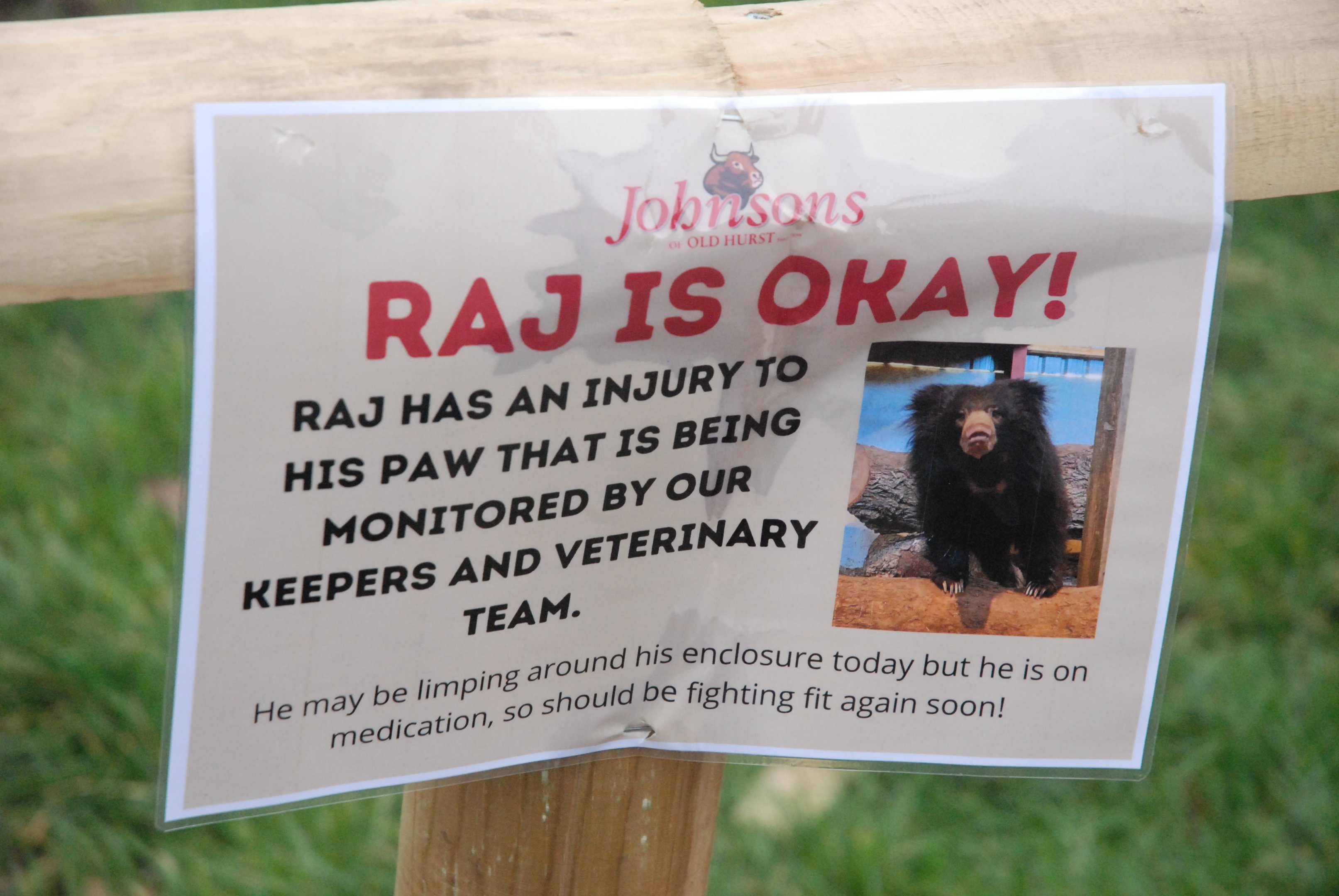 Signage Example (Sloth Bear Injury) at Johnson's of Old Hurst, 19th February 2022