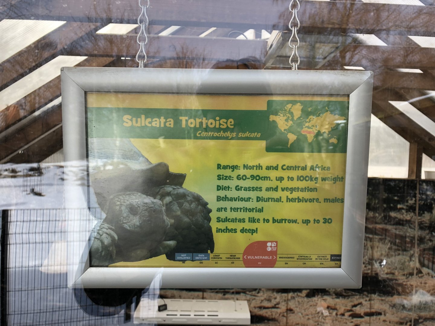 Signage Example (Sulcata Tortoise) at Tropical Butterfly House (March 2023)