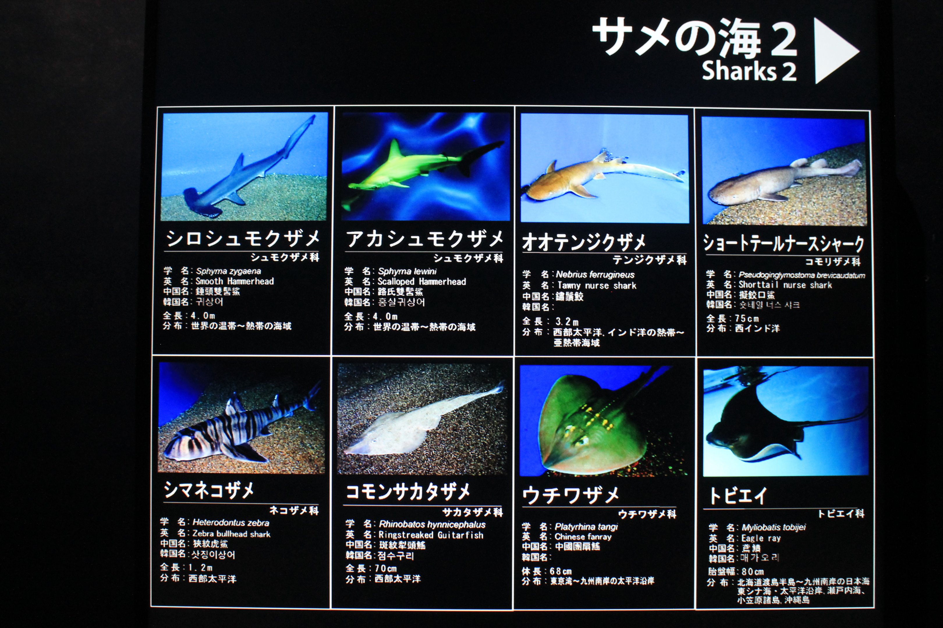 signage example (this is for a single tank)