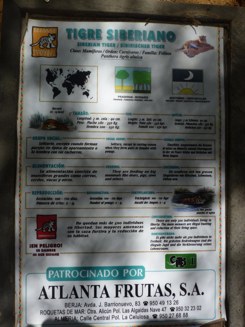 Signage example: Tiger signage