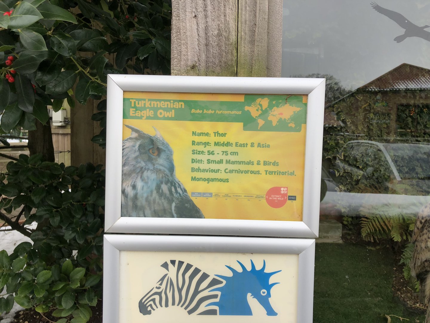 Signage Example (Turkmenian Eagle Owl) at Tropical Butterfly House (March 2023)