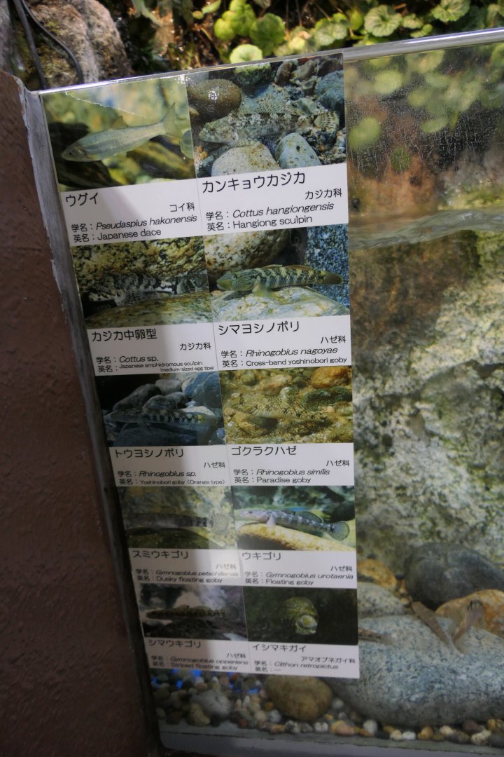 Signage example - Uozu Aquarium