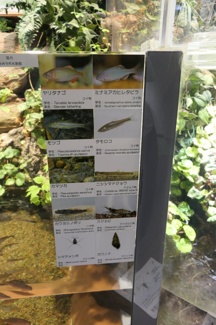 Signage example - Uozu Aquarium