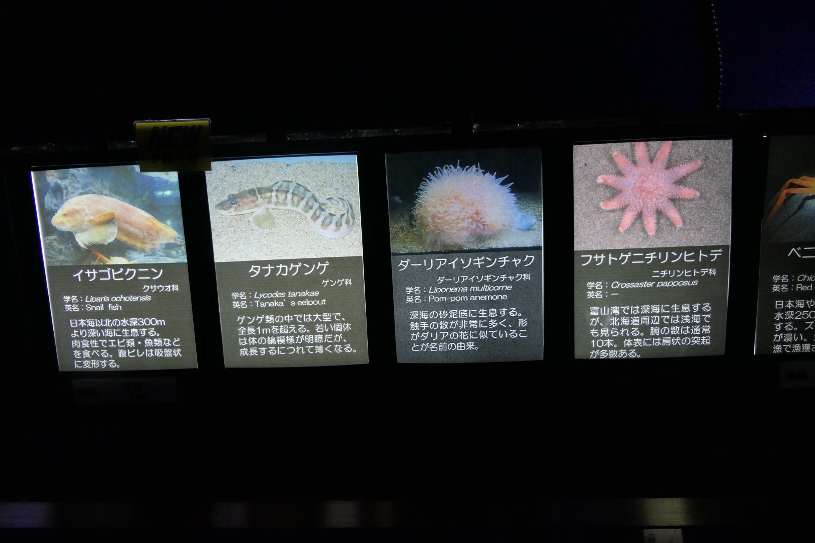 Signage example - Uozu Aquarium
