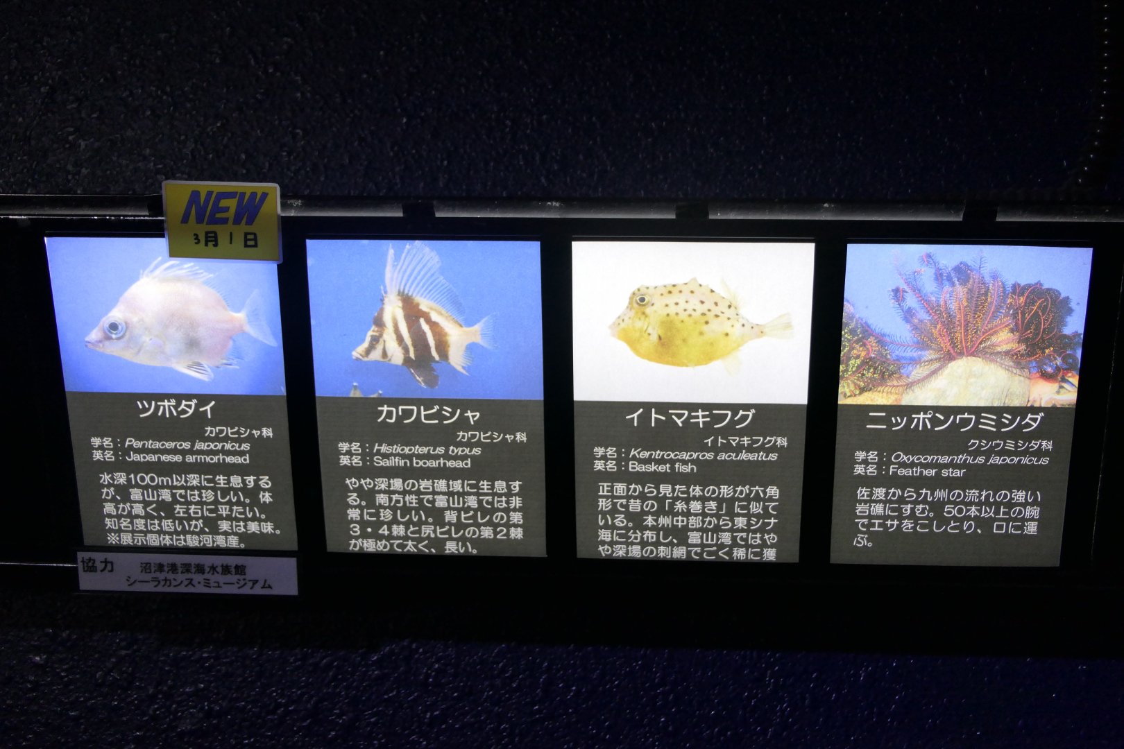 Signage example - Uozu Aquarium