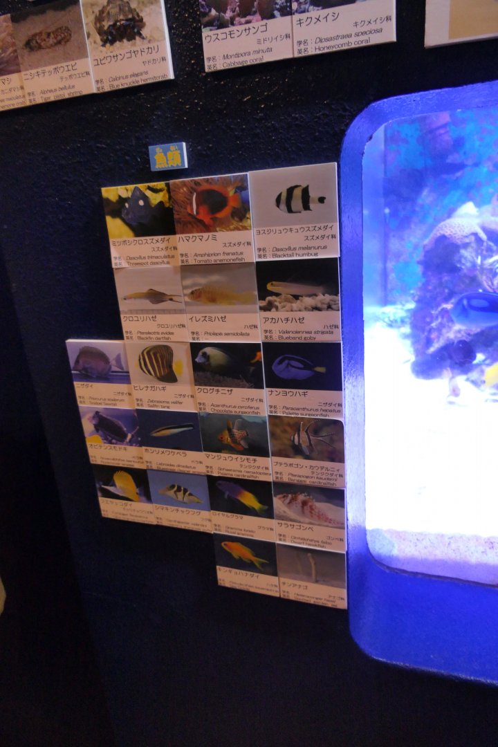 Signage example - Uozu Aquarium
