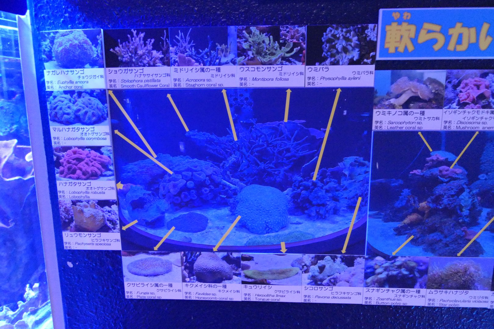Signage example - Uozu Aquarium
