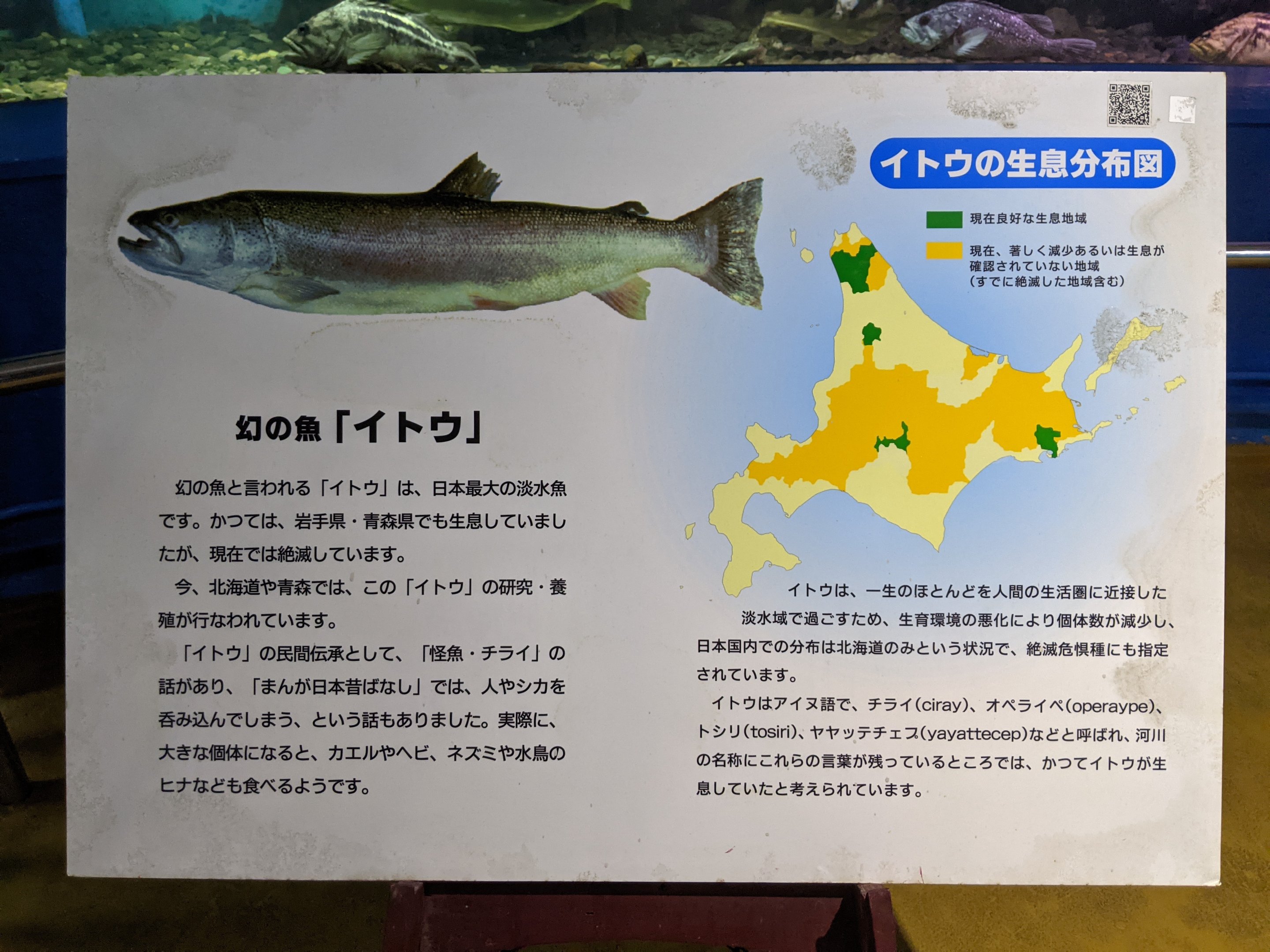 Signage example, Wakkanai Aquarium