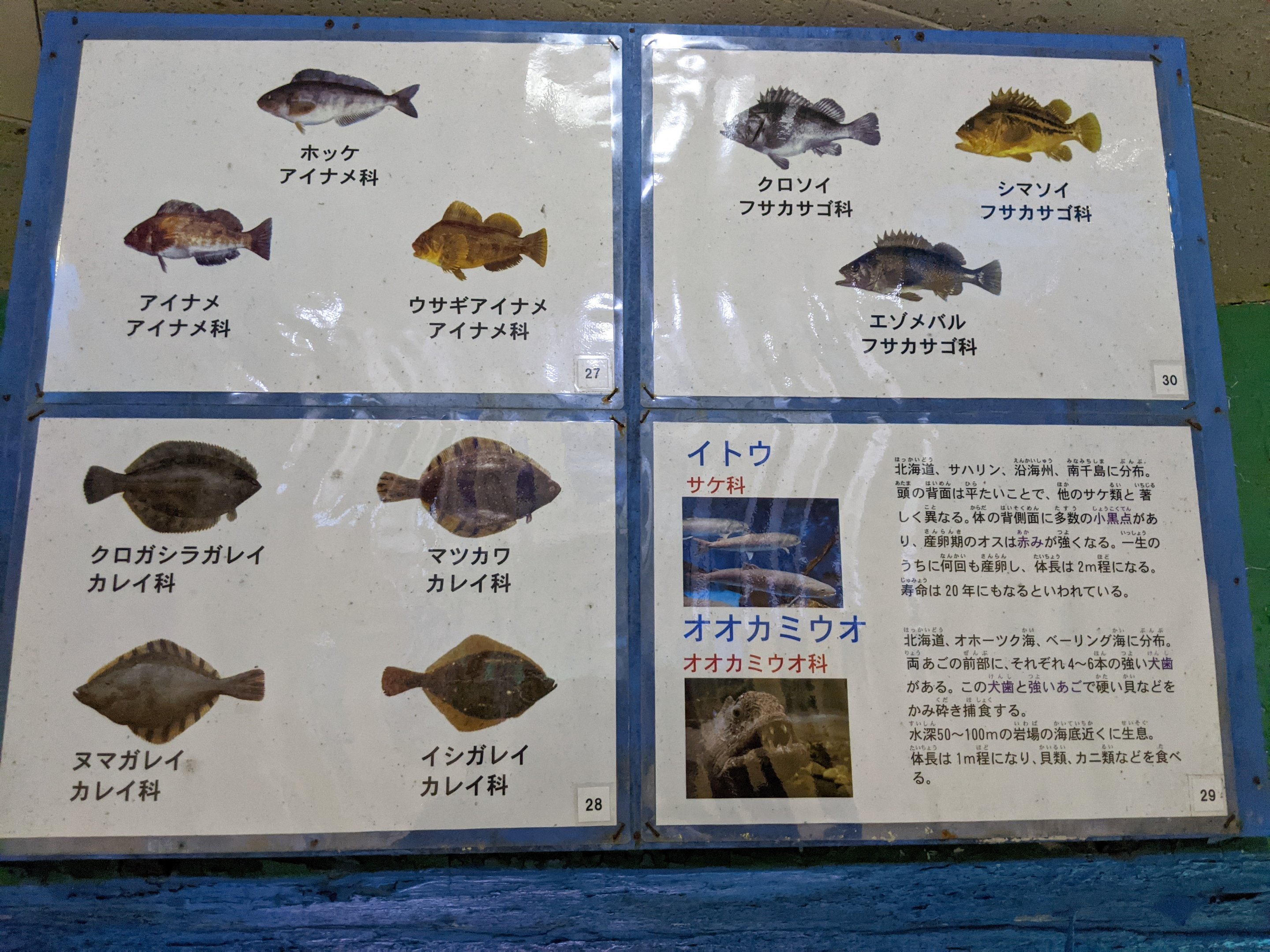 Signage example, Wakkanai Aquarium