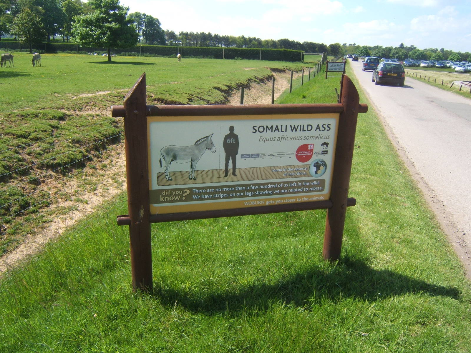 Signage example