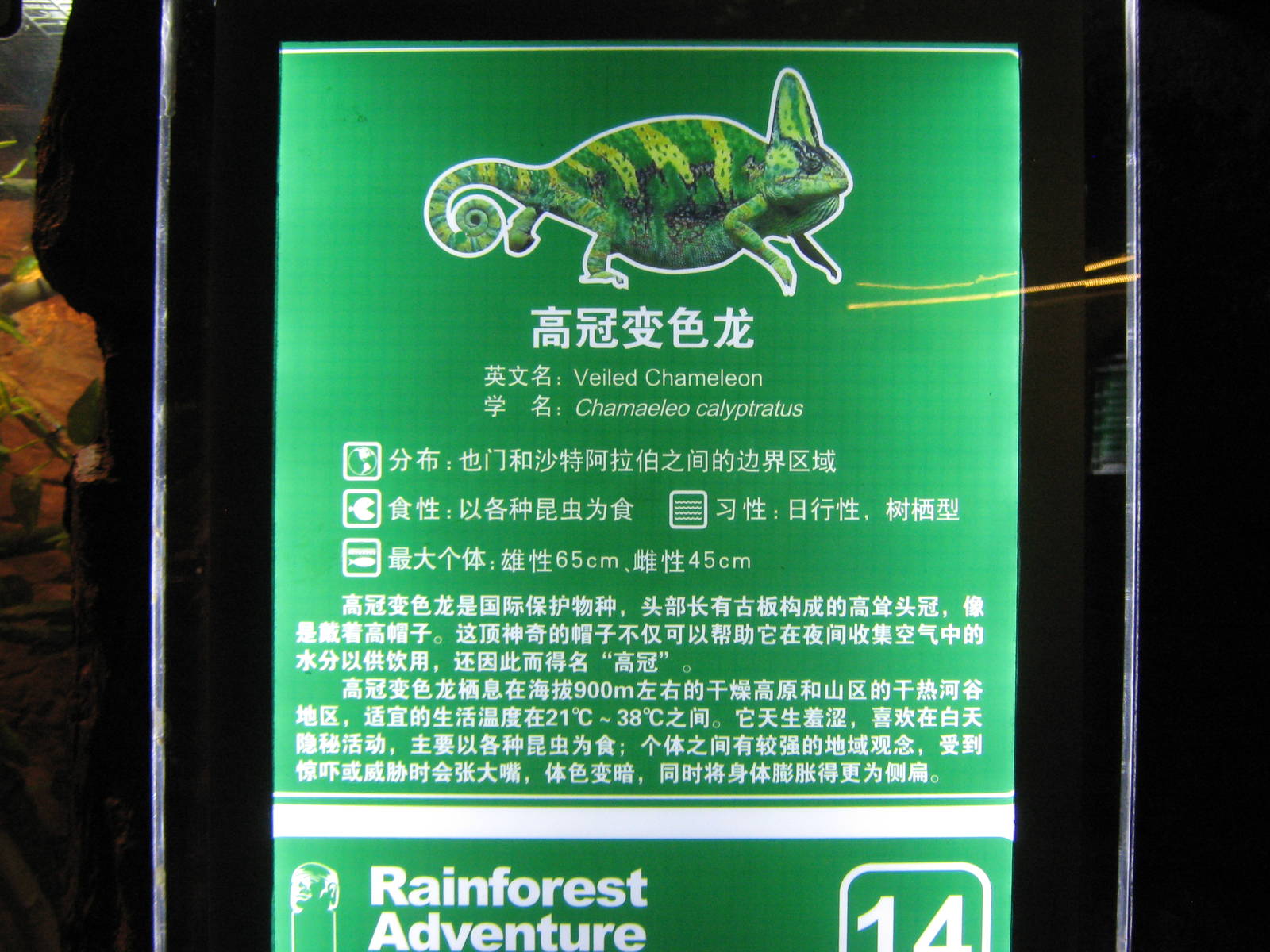 signage example